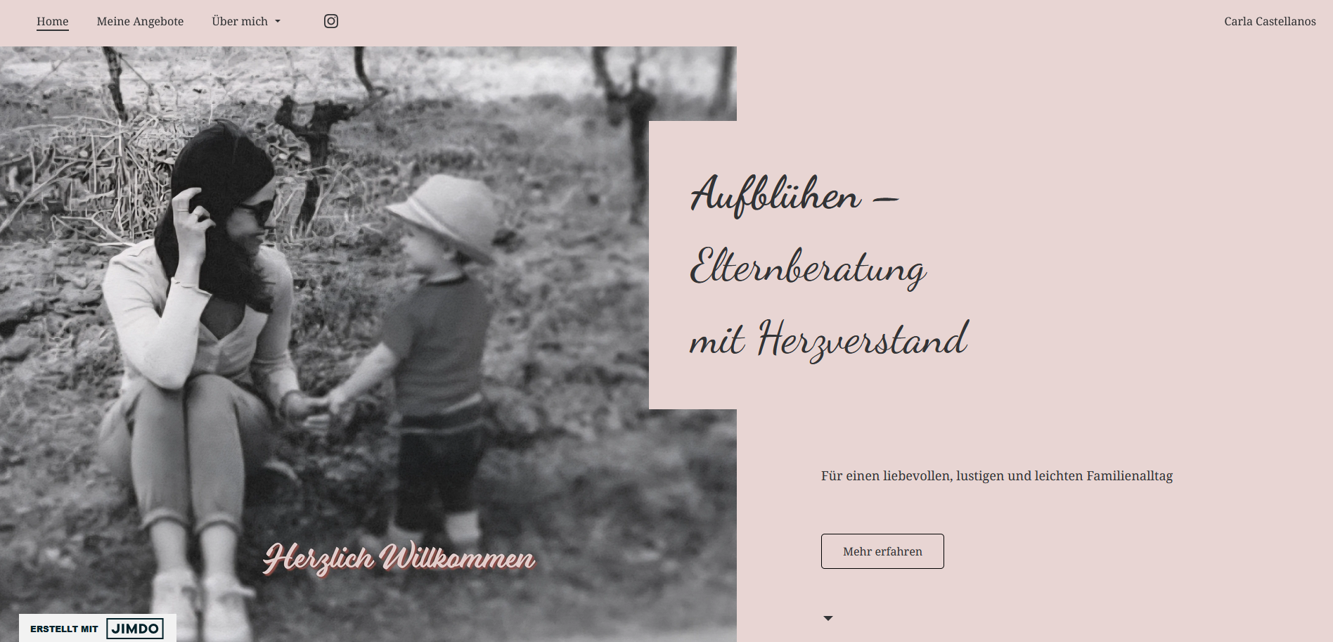 Website-Projekt für eine Elternberatung